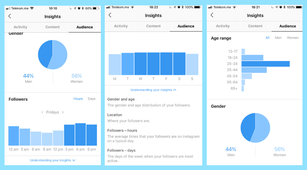 Audience demographics 