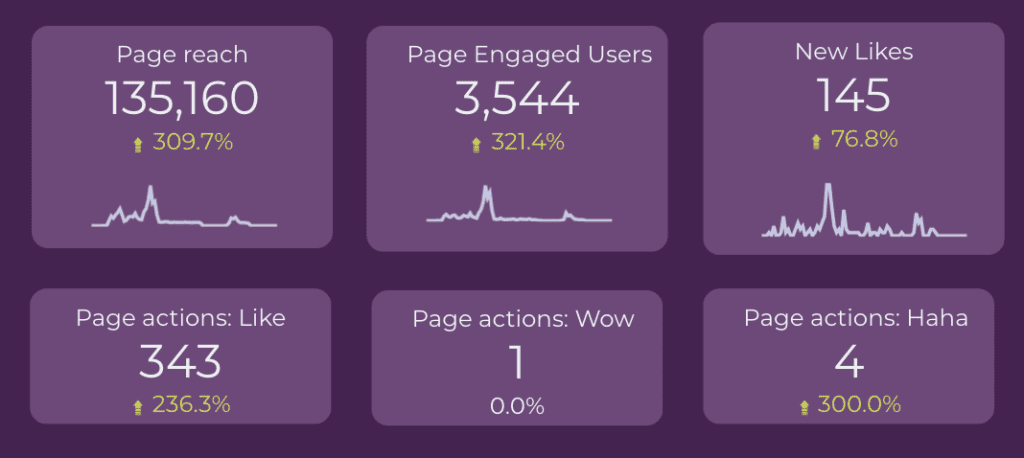 Facebook Insights Page results