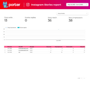 Instagram Stories Report