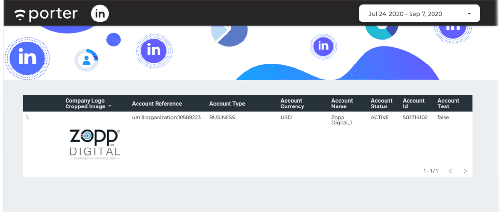 LinkedIN Ads company and account report