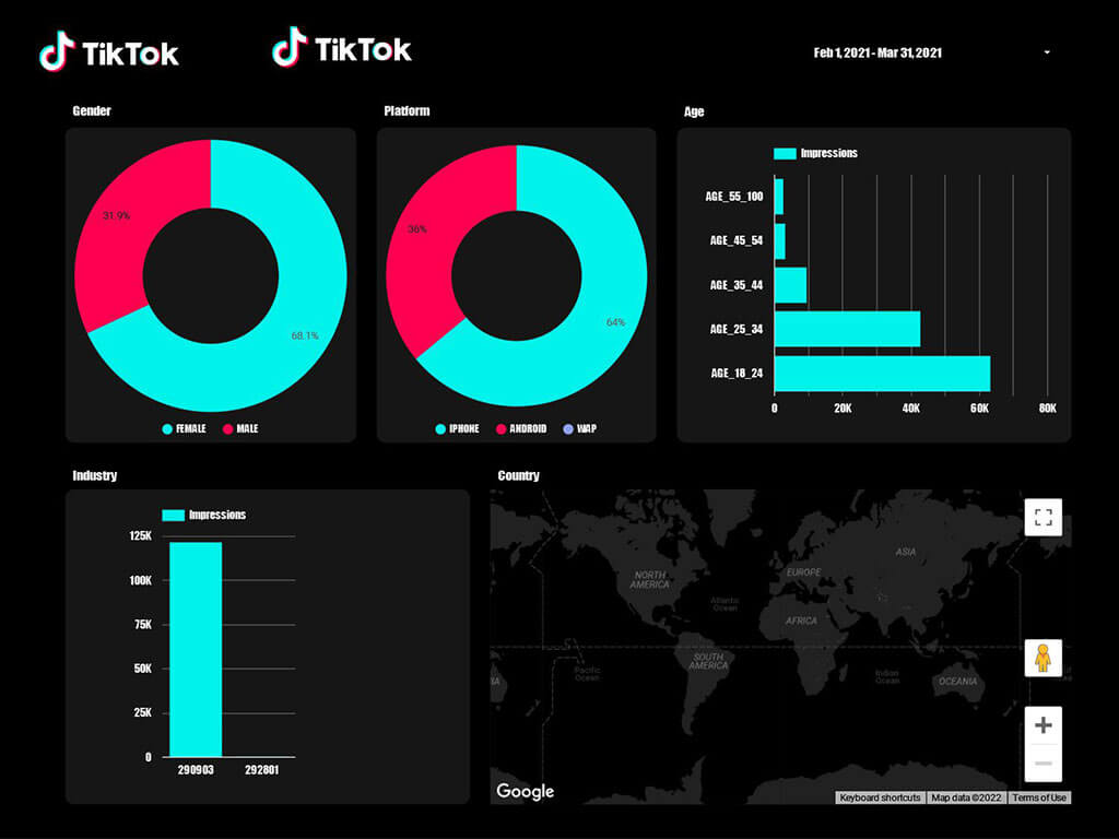 Tiktok KPIs Report