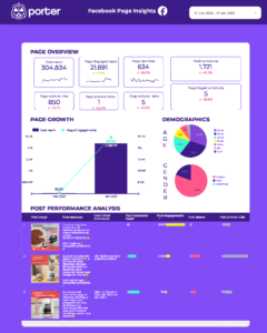 Facebook - Instagram Insights