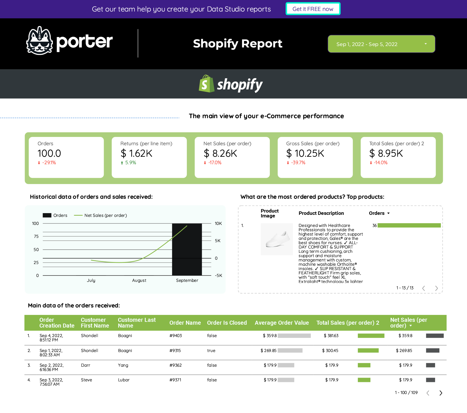 Report_Shopify_free_template_by_Porter_Metrics-(9)-1