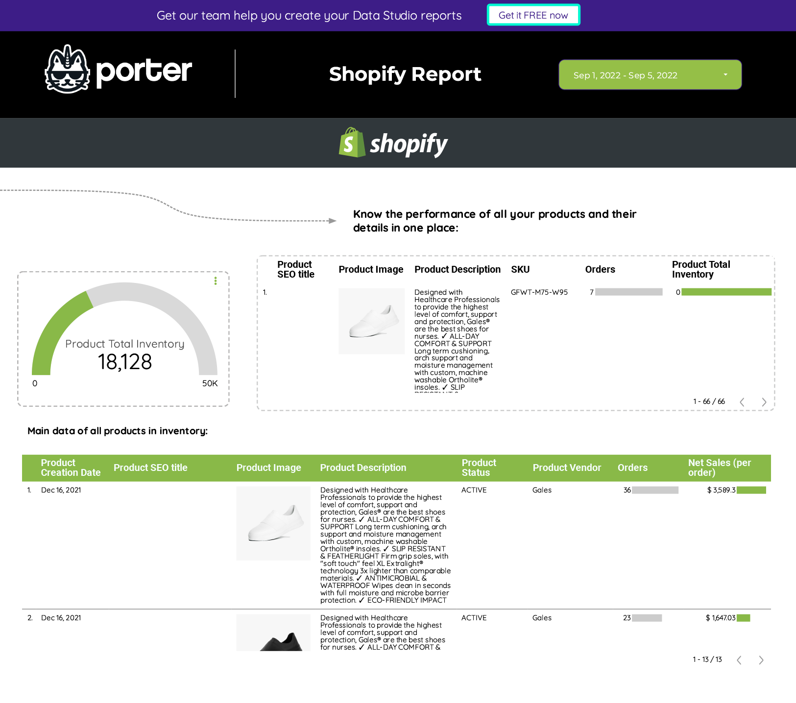 Report_Shopify_free_template_by_Porter_Metrics-(9)-3