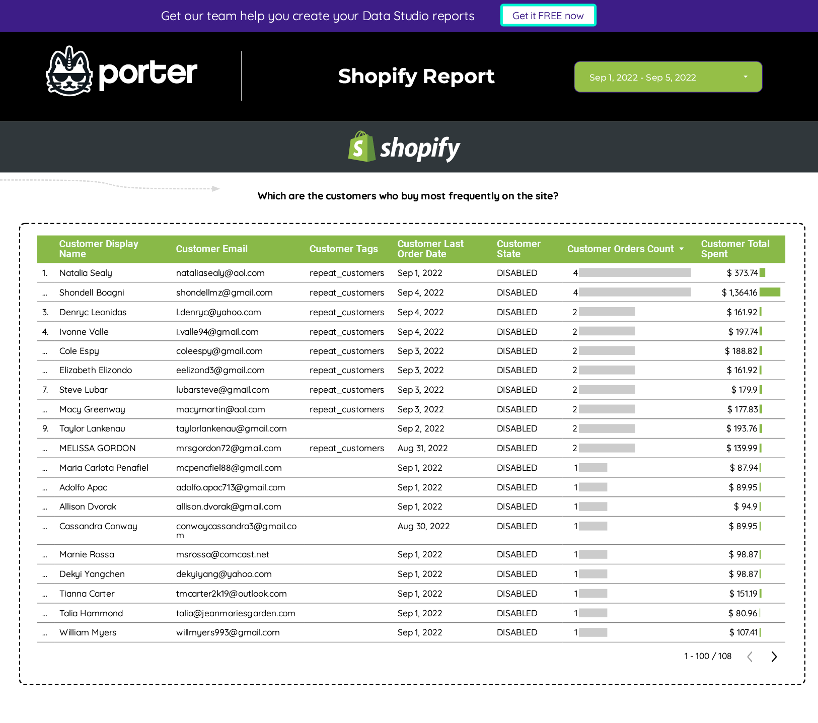 Report_Shopify_free_template_by_Porter_Metrics-(9)-5