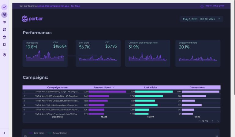 TikTok Ads  Dashboard template on Looker Studio