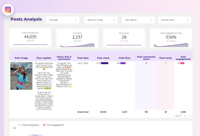 Instagram Insights Dashboard template on Looker Studio