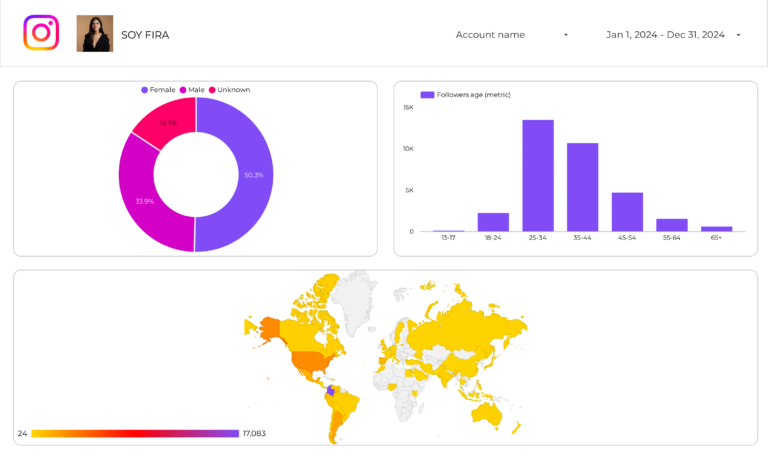 Instagram Audience Dashboard template on Looker Studio