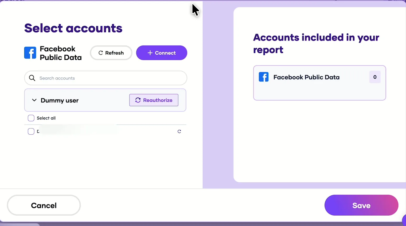 Porter's Select accounts window for Facebook Public Data with a demo user
