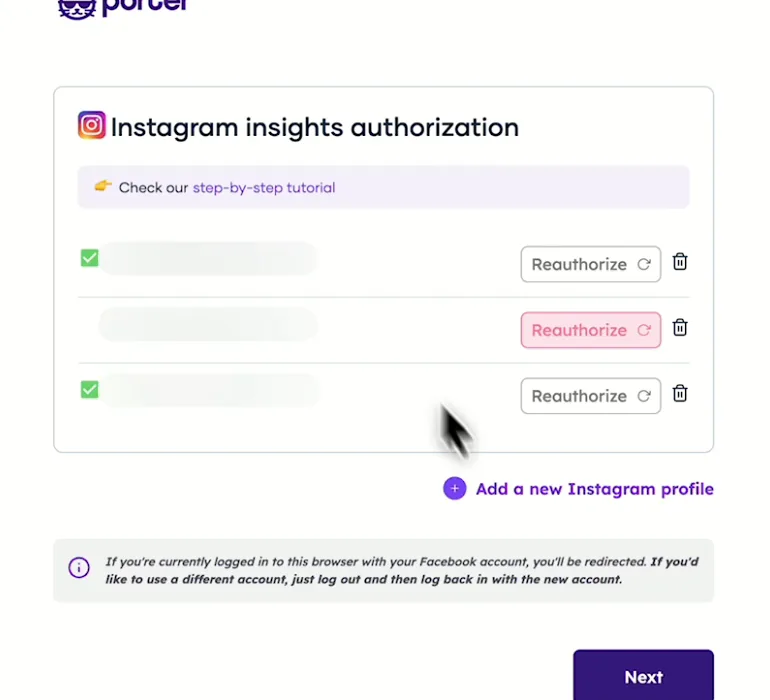 Porter's Instagram Insights authorization page with the authorized profiles