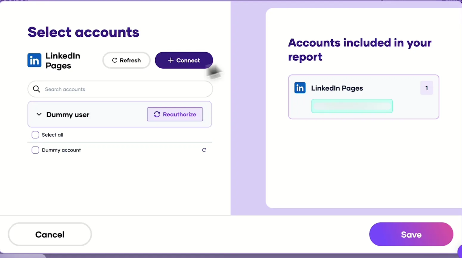 Porter's Select accounts window for LinkedIn Pages with a demo account and the Connect button